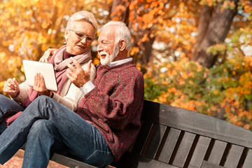 Senior  couple having video call via tablet PS  in autumn park.