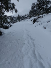 Camino nevado