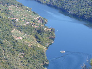 Viñedos en Ribeira sacra