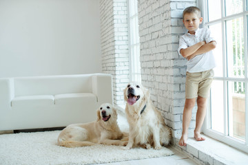 A child with a dog. Beautiful boy at home with a dog. 