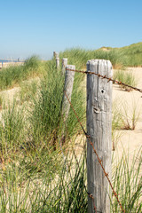 Dünen in Zandvort