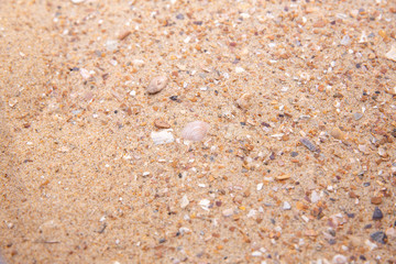 sable