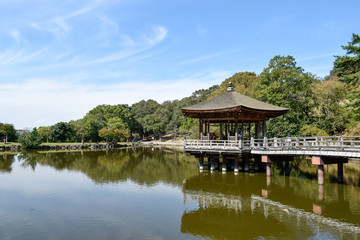 Naklejka premium 奈良公園 浮見堂