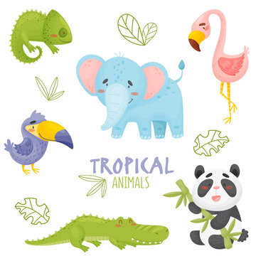 Set of cute cartoon tropical animals in jungle