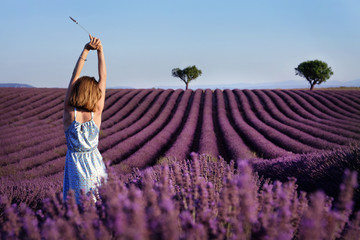 Young woman in the middle of Blooming lavender field near Valensole in Provence, France. Rows of purple flowers