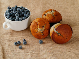 Three blueberry muffins and cup with fresh berries on a hessian surface. Still life. Country style.