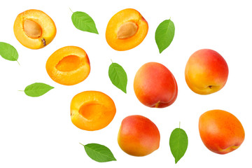 apricot fruits with slices and green leaf isolated on white background. top view