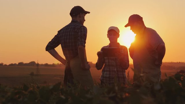A group of young farmers working in the field at sunset, using a tablet