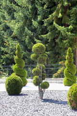 Steingarten mit Formgeh&ouml;lzen