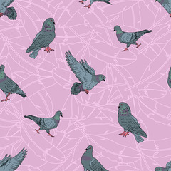 pigeons seamless pattern, street urban city pigeon bird, cartoon bird background, vector editable illustration