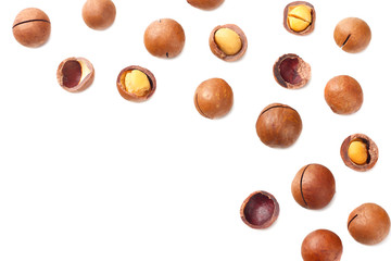 Obraz na płótnie Canvas Macadamia nut isolated on a white background. top view
