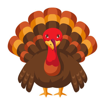 Happy Thanksgiving illustration of turkey.