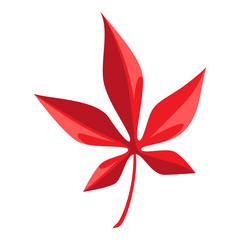 Cartoon illustration of red maple leaf.