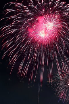 368 Best 花火素材 Images Stock Photos Vectors Adobe Stock