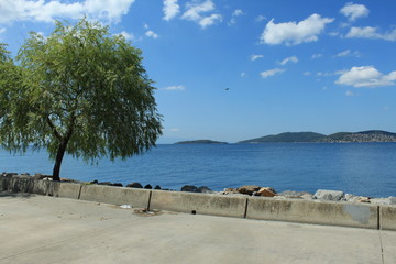 Fototapeta premium sea