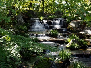 好古園の紅葉（兵庫県姫路市）