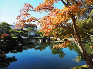 好古園の紅葉（兵庫県姫路市）