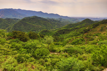 Fototapeta na wymiar Great Wall of China in summer landscape. 