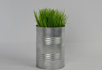 Grass in silver metal jar on light gray background.