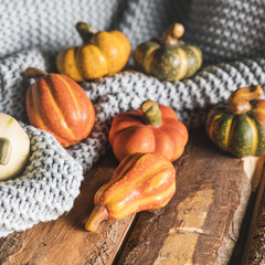 High angle pumpkins on wooden table and blanket