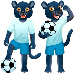 Two standing panthers as the footballers in uniform with the soccer ball