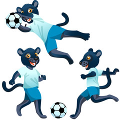 Three panthers as the footballers in uniform in dynamic poses with the soccer ball