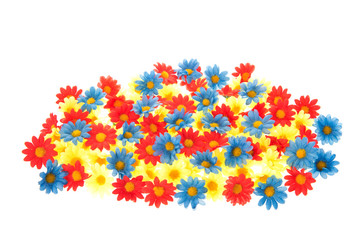 Colorful summer flowers