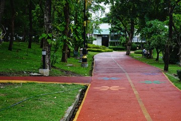 path in the park