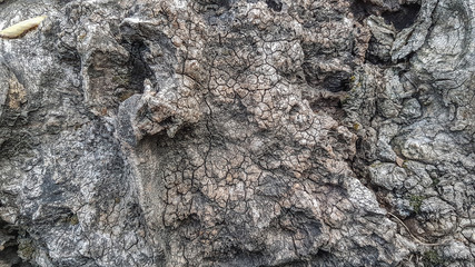 Grunge background texture of natural stone