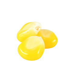 corn seeds isolated on white background