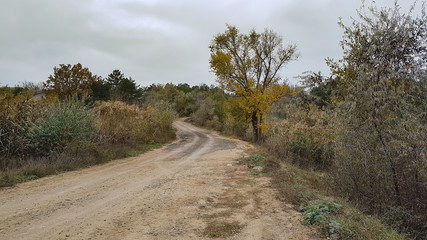 beautiful summer landscape of countryside meadows