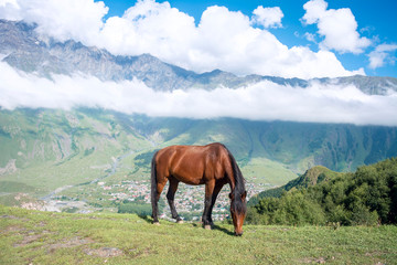 Fototapeta na wymiar Reisen in den Kaukasus Bergen