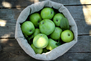 Juicy ripe green apples Simerenko in a linen bag on a wooden background