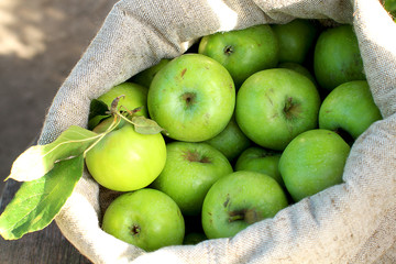 Juicy ripe green apples Simerenko in a linen bag on a wooden background