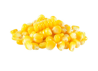 corn seeds isolated on white background