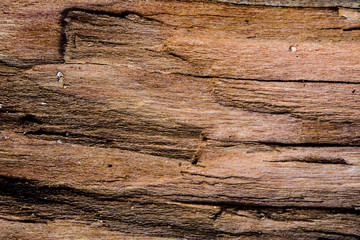 An old brown wood background with cracks
