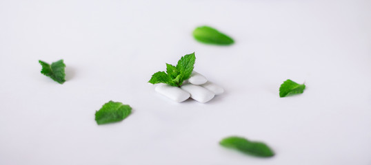 Close-up of the two pads of the chewing gum lies on the mint leaves with a lot of the mint leaves on the light background. © OlhaL