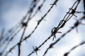 Fototapeta na wymiar Barbed wire. Barbed wire on fence with blue sky to feel worrying.