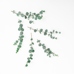 Eucalyptus branches composition isolated on white background. Flat lay