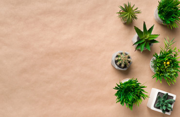 Fototapeta na wymiar Mini succulent plants in pots on craft paper background