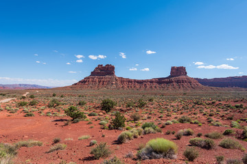 Valley of the Gods landscape of large red buttes and desert greenery in Bears Ears National Monument