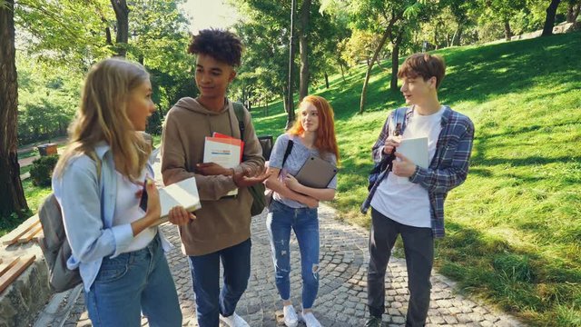 Group of cheerful multiethnic students having fun together while walking outdoors in park