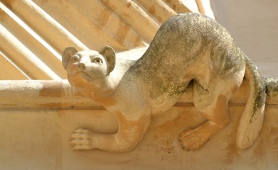 Détail sur la façade de l'église de Cirencester : un chat