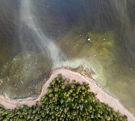 Blooms Water in Gulf of Finland. Forest,  and water