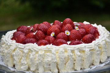 Homemade strawberry cake closeup