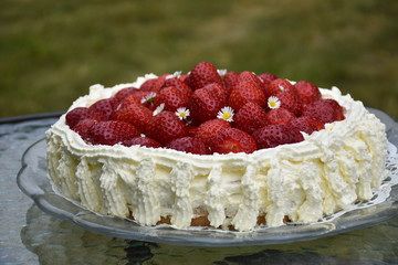 Beautiful homemade summer cake with strawberries
