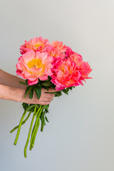 Beautiful bouquet of pink peonies in a man's hand on a white wall background