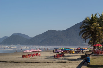 Beach with coconut tree and mountain background in Peruibe, Brazil