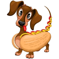Fototapete Zeichnung Dackel Hot Dog niedliche und lustige Cartoon-Charakter-Vektor-Illustration