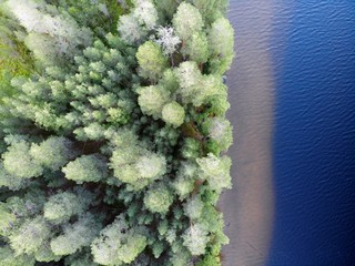 Aerial top down view to blue trees and lake river. Sandy bottom.